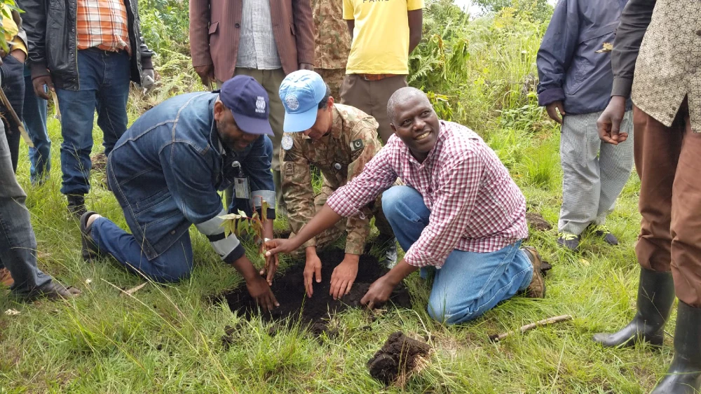 Lazare Sebitereko Rukundwa plante un arbre en République démocratique du Congo.